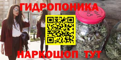 бошки Кинель